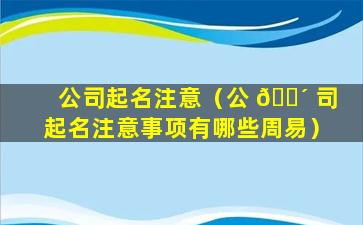 公司起名注意（公 🐴 司起名注意事项有哪些周易）